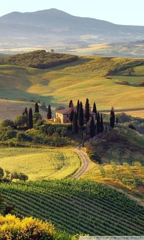 Where to Buy a House in Umbria: Italy’s Green Heart for Expats and Investors